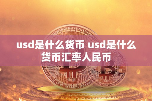 usd是什么货币 usd是什么货币汇率人民币