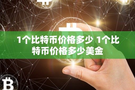 1个比特币价格多少 1个比特币价格多少美金