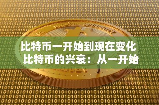 比特币一开始到现在变化  比特币的兴衰：从一开始到现在的变化