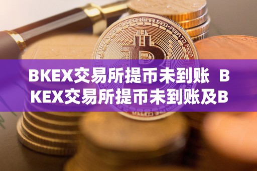 BKEX交易所提币未到账  BKEX交易所提币未到账及BKEX交易所怎么提币变人民币