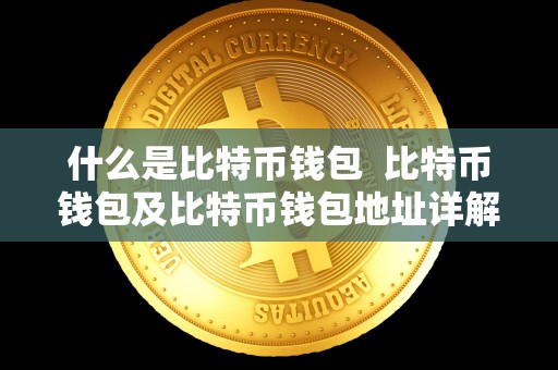 什么是比特币钱包  比特币钱包及比特币钱包地址详解