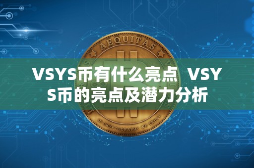 VSYS币有什么亮点  VSYS币的亮点及潜力分析