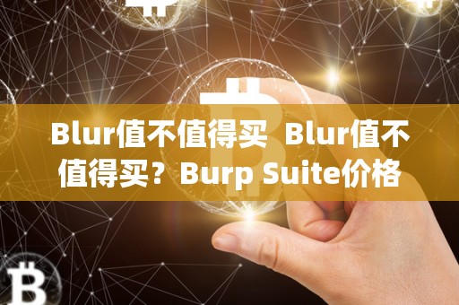 Blur值不值得买  Blur值不值得买？Burp Suite价格是多少？