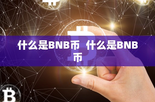 什么是BNB币  什么是BNB币