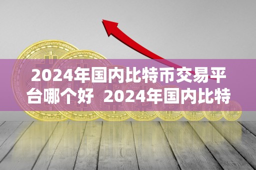 2024年国内比特币交易平台哪个好  2024年国内比特币交易平台哪个好