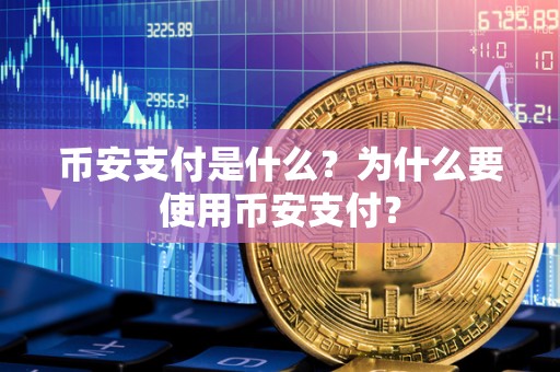 币安支付是什么？为什么要使用币安支付？