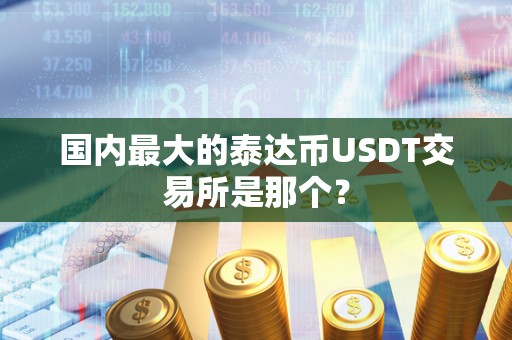 国内最大的泰达币USDT交易所是那个？