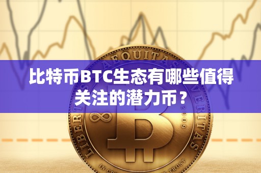 比特币BTC生态有哪些值得关注的潜力币？