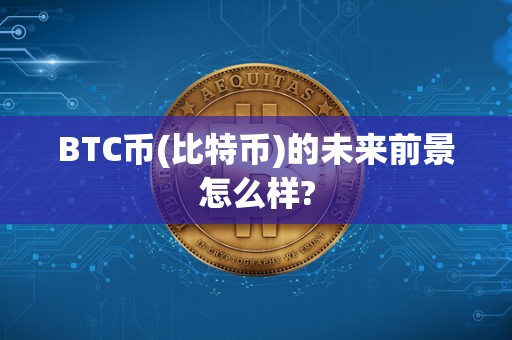 BTC币(比特币)的未来前景怎么样?