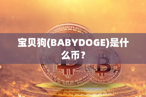 宝贝狗(BABYDOGE)是什么币？