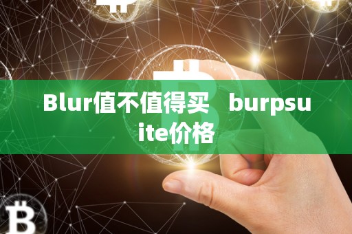 Blur值不值得买   burpsuite价格